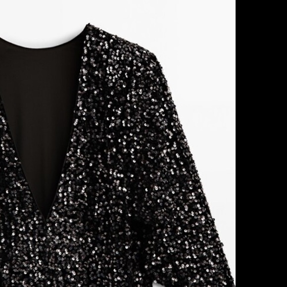 Massimo Dutti Short Sequinned Dress - Picture 6 of 6